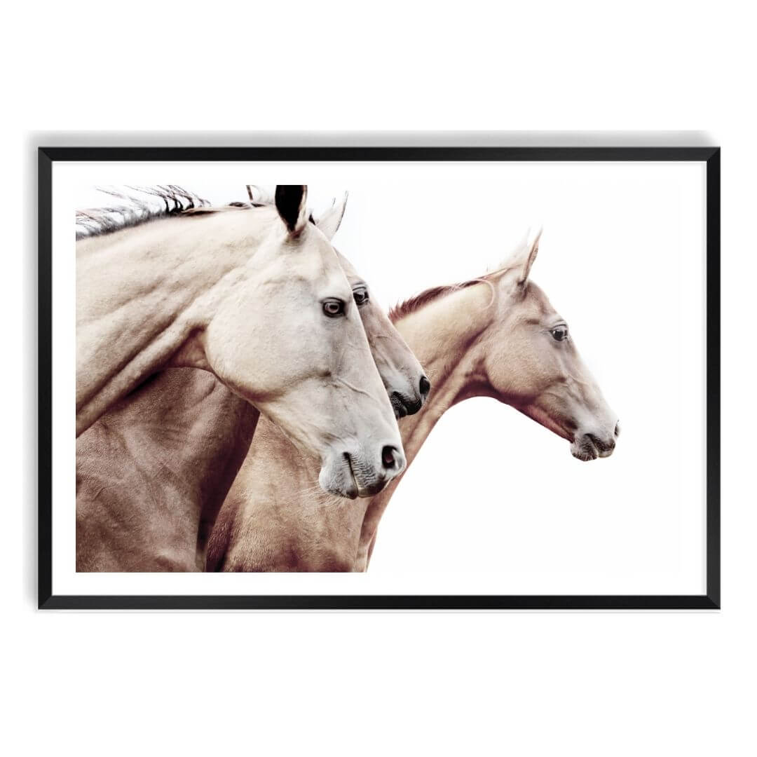 3 Palomino Horses Wall Art Print with a  black frame and white border by Beautiful HomeDecor also available unframed.