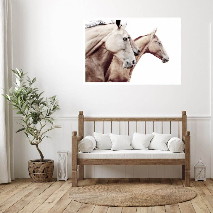 3 Palomino Horses Wall Art Photo Print in your hallway, framed with a white frame by Beautiful Home Decor.