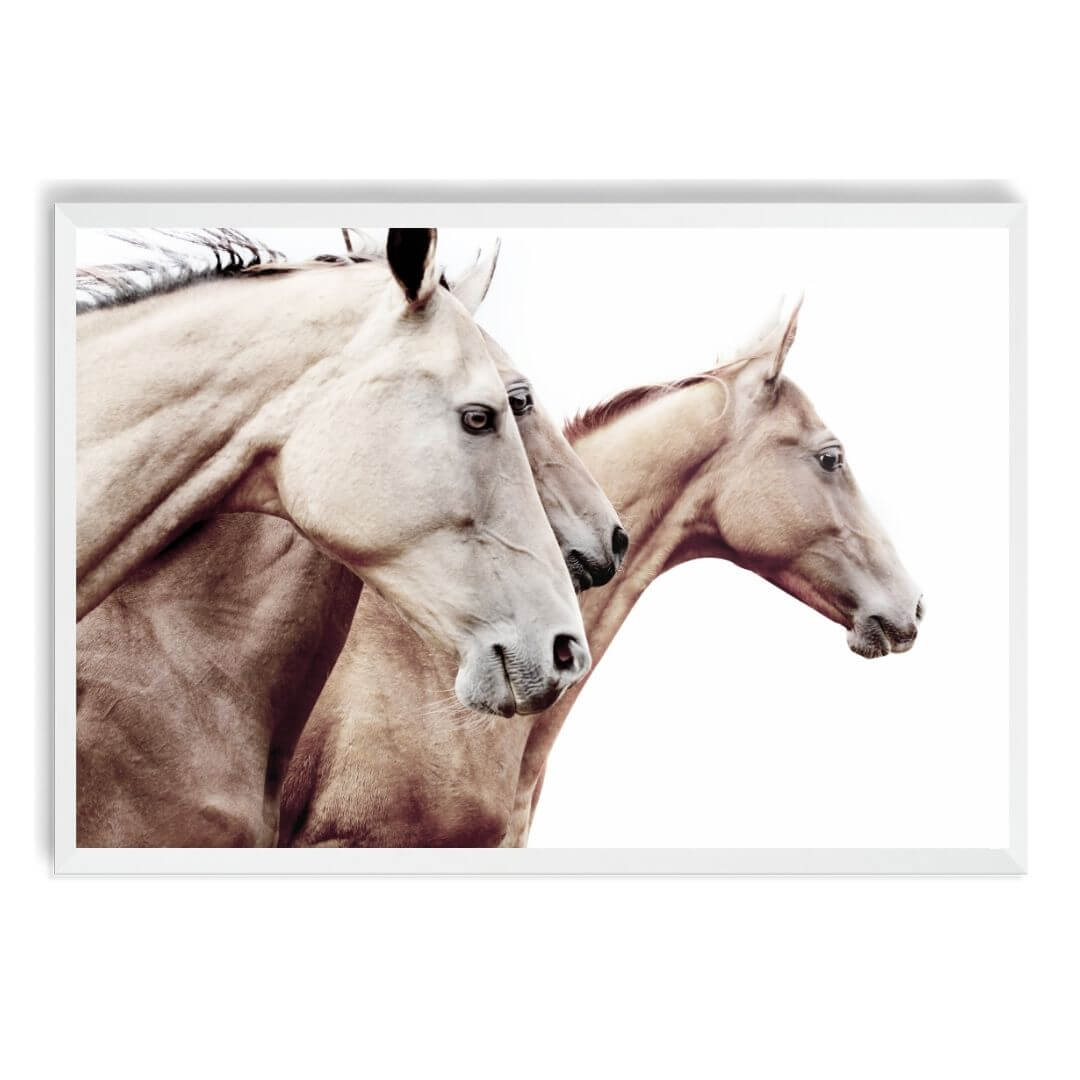 3 Palomino Horses Wall Art Print with a  White Frame and no border by Beautiful Home Décor also available unframed.
