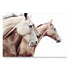 3 Palomino Horses Wall Art Photo Print Not Framed Unframed by Beautiful Home Décor, artwork also available framed