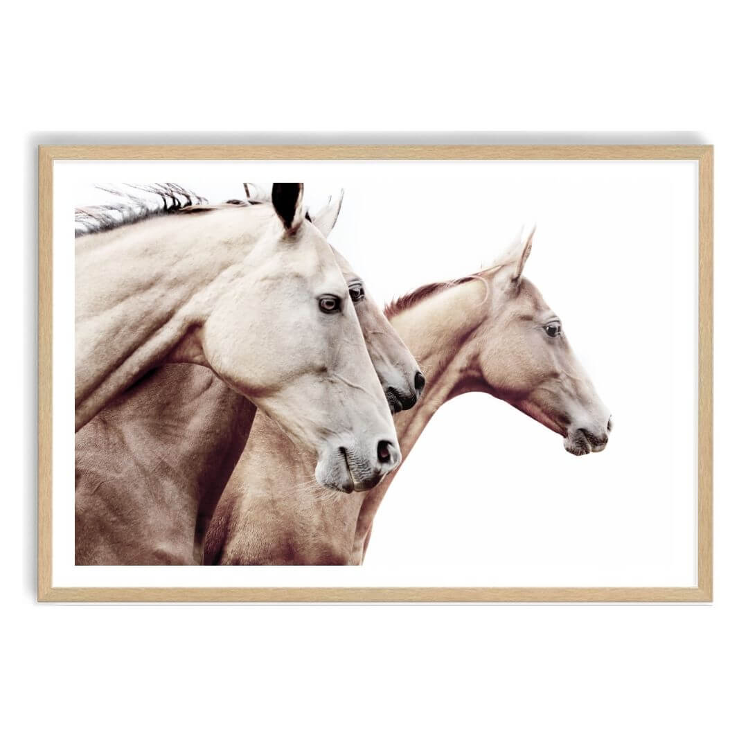 3 Palomino Horses Wall Art Print with a  timber Frame and white border by Beautiful Home Décor also available unframed.