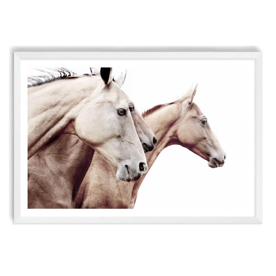 3 Palomino Brown Horses Wall Art Print with a white frame and white border by Beautiful Home Decor also available unframed.