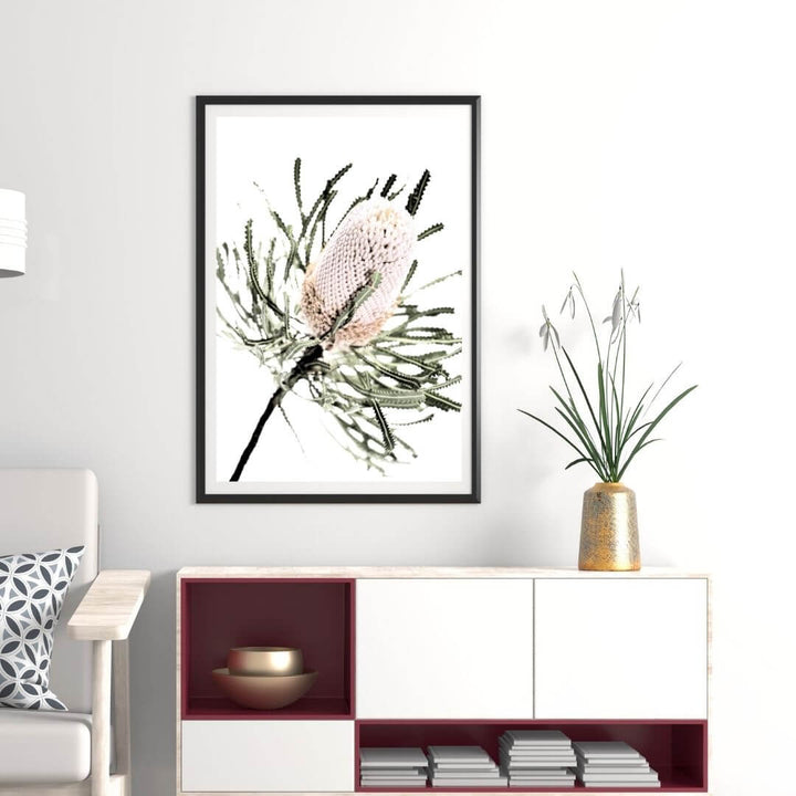 An Australian natives artwork of the Australian Native Banksia Flower A with a black frame or unframed for your office walls