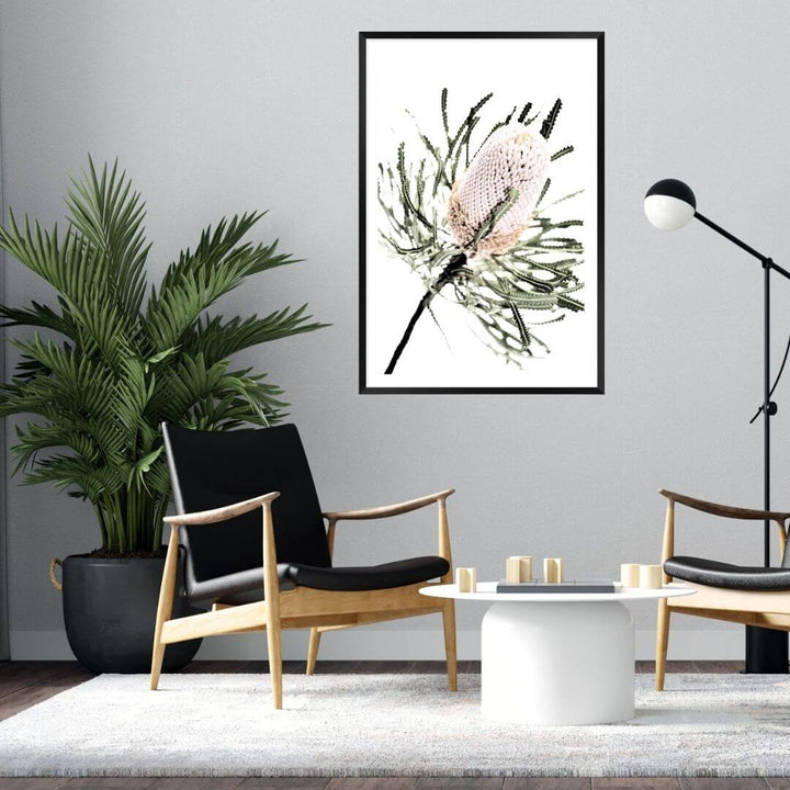 An artwork featuring a beautiful Australian native peach Banksia flower, available framed or unframed in a living room