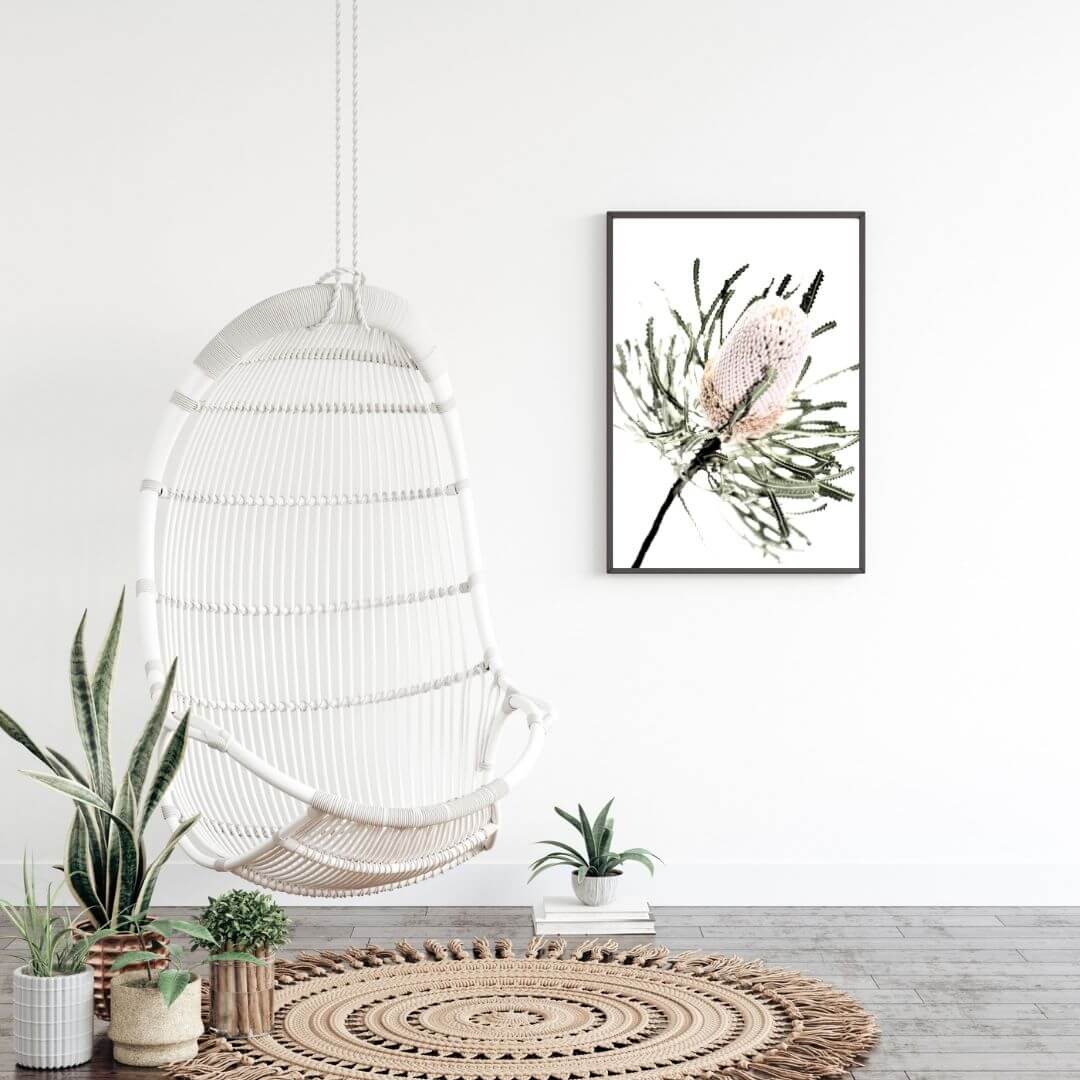 A wall art photo print featuring an Australian native peach Banksia flower, in a black frame with no white border in the living room