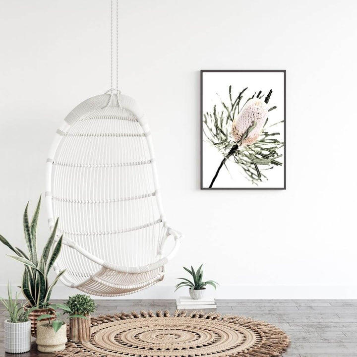 A wall art photo print featuring an Australian native peach Banksia flower, in a black frame with no white border in the living room