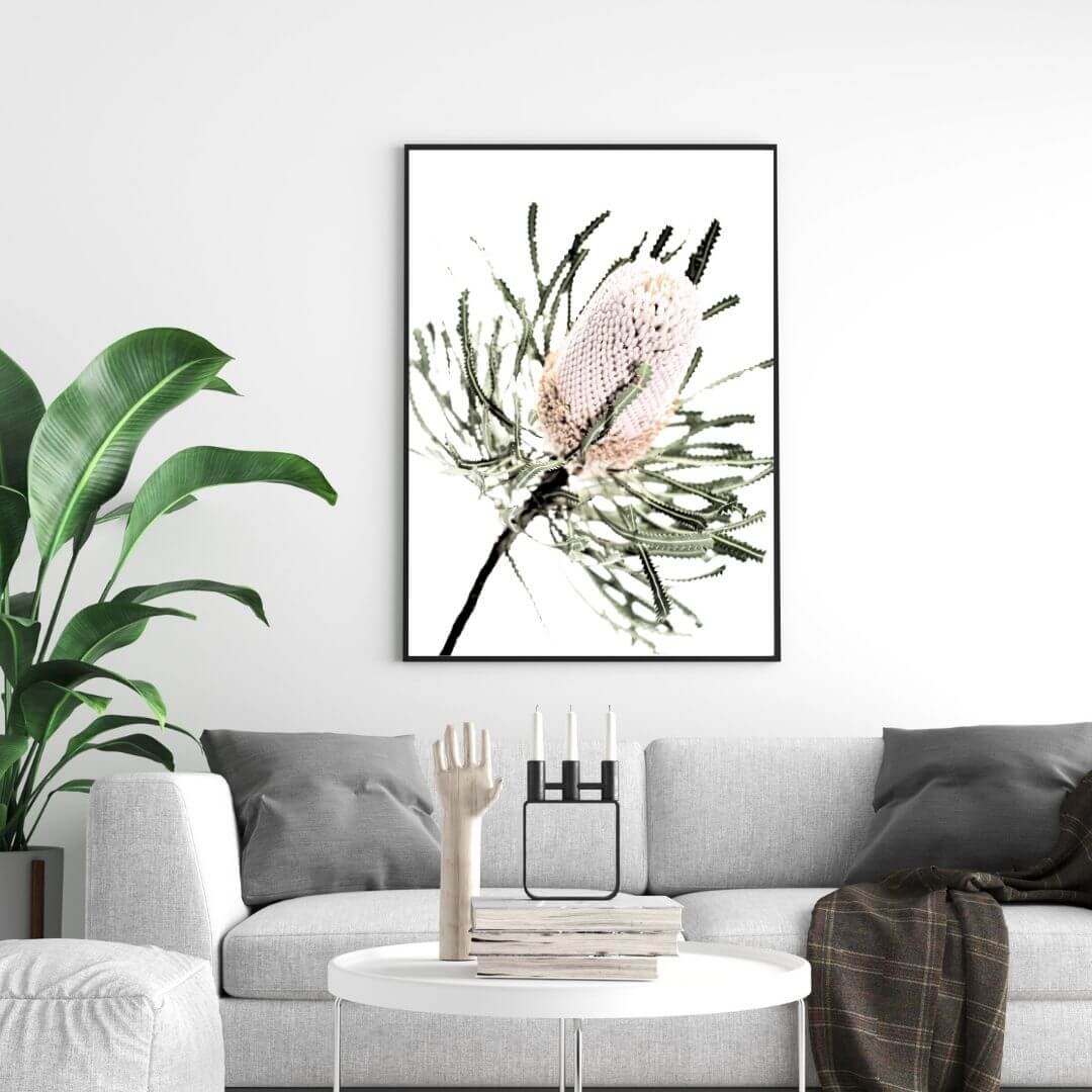 A wall art print of an Australian Native Banksia Floral A with a black frame or unframed above a sofa in the living room