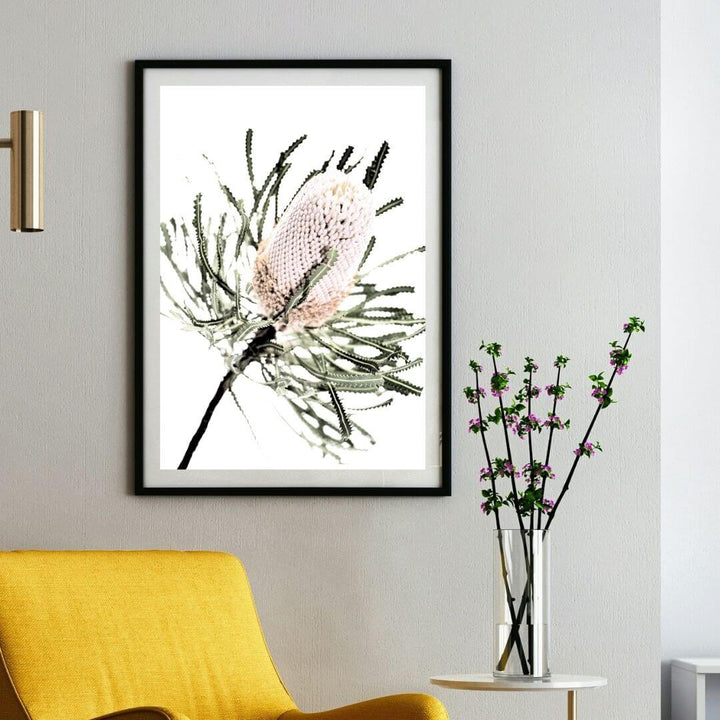 A wall art print of an Australian Native Banksia Flower A with a black frame or unframed on a living room wall