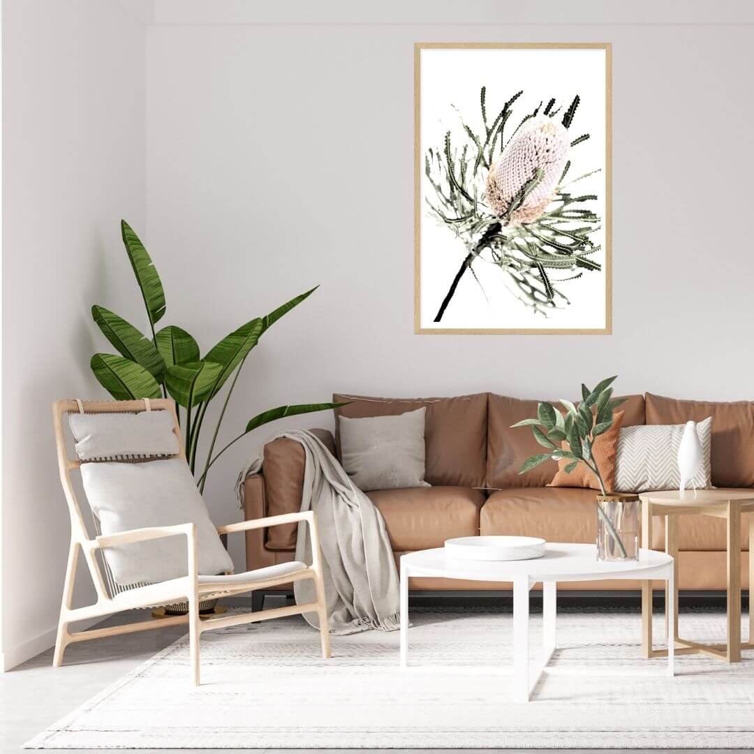A wall art print of an Australian Native Banksia Flower A with a timber frame or unframed on a living room wall