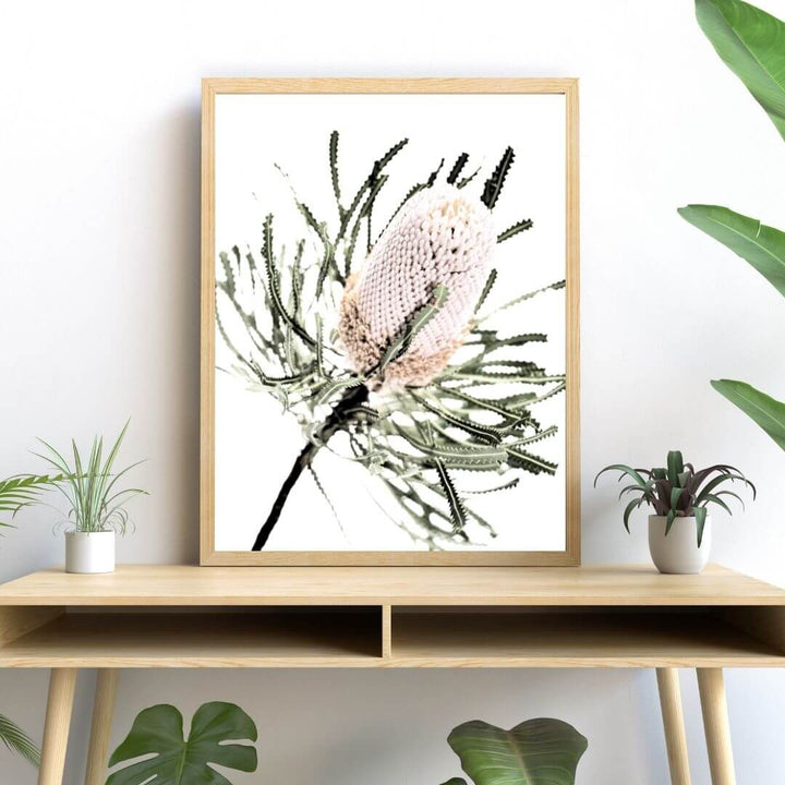 A wall art print of an Australian Native Banksia Floral A with a frame in timber or unframed in the hallway on a table