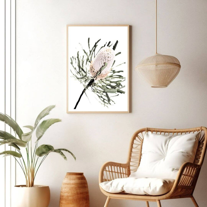 A banksia wall art photo print of an Australian Native Banksia Flower A with a timber frame or unframed on a living room wall