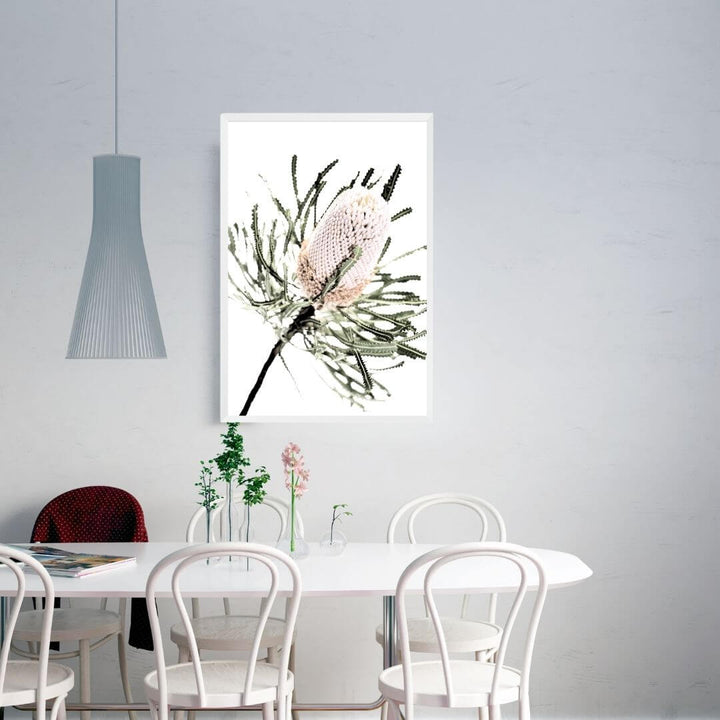 A floral artwork of one beautiful Australian Native Banksia Flower in a white framed print on a dining room wall.