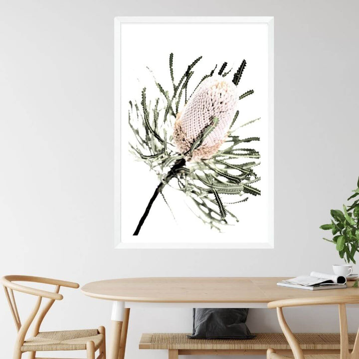 A wall art print of an Australian Native Banksia Flower A with a white frame or unframed on a dining room wall