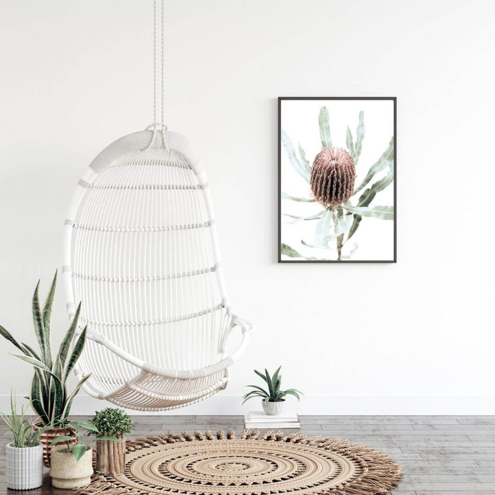 A wall art print featuring an Australian native peach Banksia flower B, in a black frame with no white border in the living room