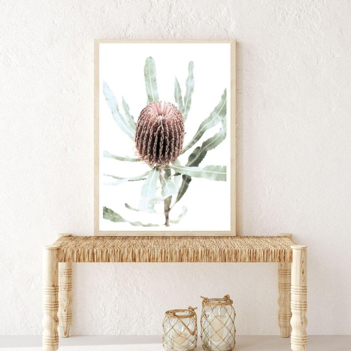 The Australian prints of an Australian Native Banksia Floral B artwork with a timber frame or unframed in a hallway entrance