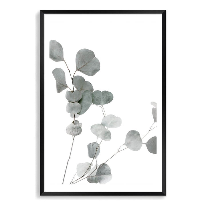 A wall art photo print of an Australian native eucalyptus leaves A with a black frame, white border by Beautiful Home Decor