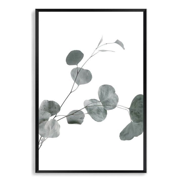 A wall art photo print of an Australian native eucalyptus leaves B with a black frame, no white border at Beautiful HomeDecor