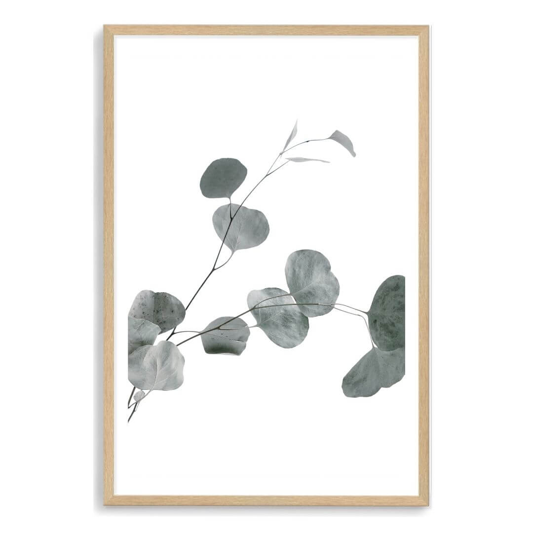 A wall art photo print of an Australian native eucalyptus leaves B with a timber frame, white border by Beautiful Home Decor
