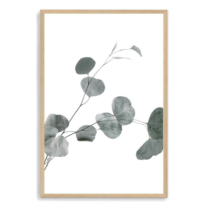 A wall art photo print of an Australian native eucalyptus leaves B with a timber frame, no white border at Beautiful HomeDecor