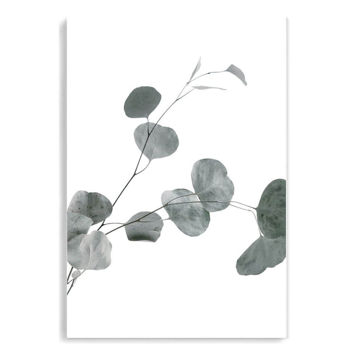 A wall art photo print of an Australian native eucalyptus leaves B unframed, printed edge to edge without a white border