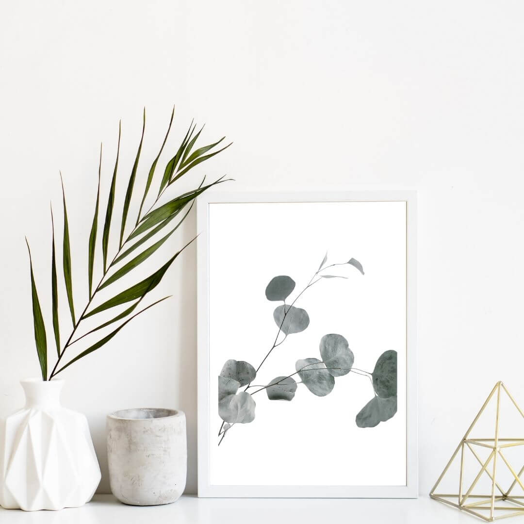 A small wall art photo print of an Australian native eucalyptus leaves B with a white frame or unframed to style shelves and empty walls