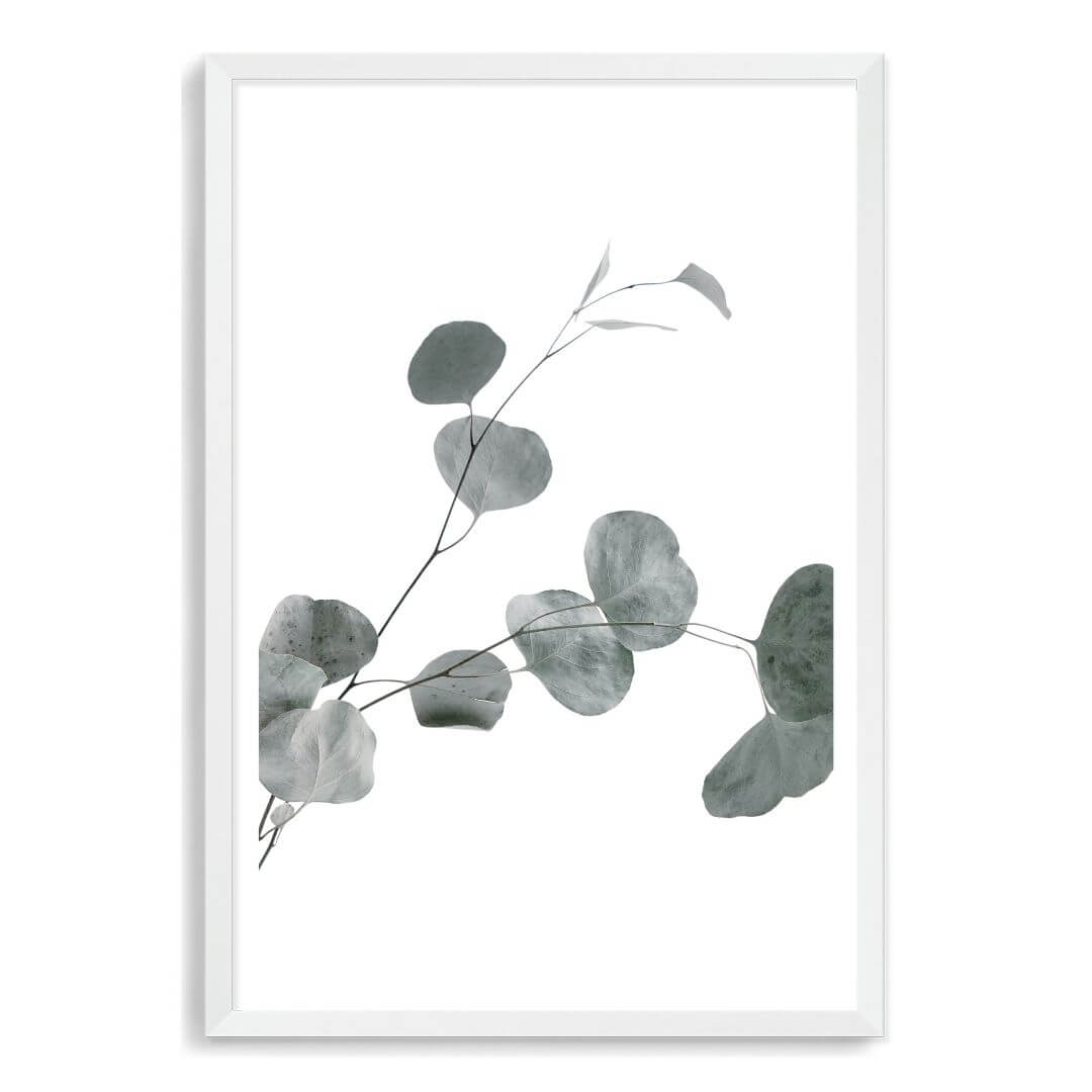 A wall art photo print of an Australian native eucalyptus leaves B with a white frame, white border by Beautiful Home Decor