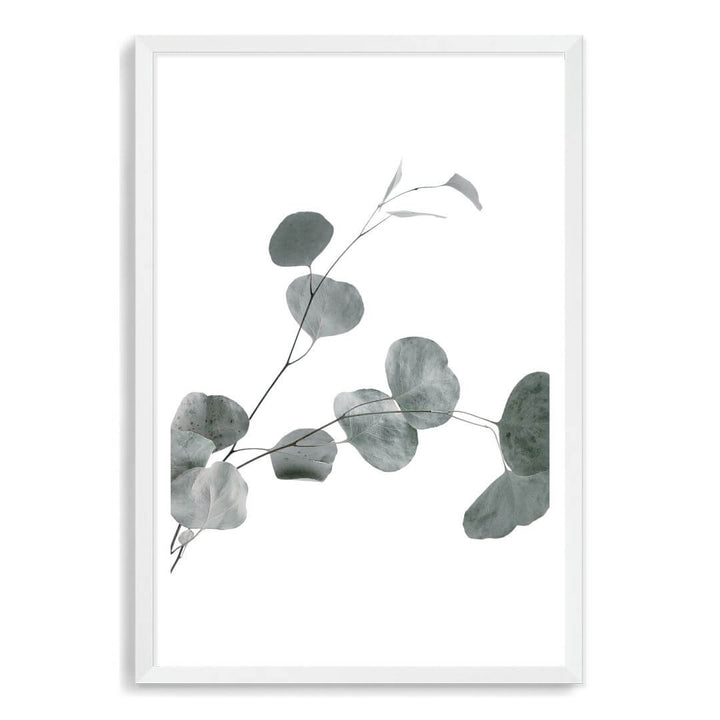 A wall art photo print of an Australian native eucalyptus leaves B with a white frame, white border by Beautiful Home Decor