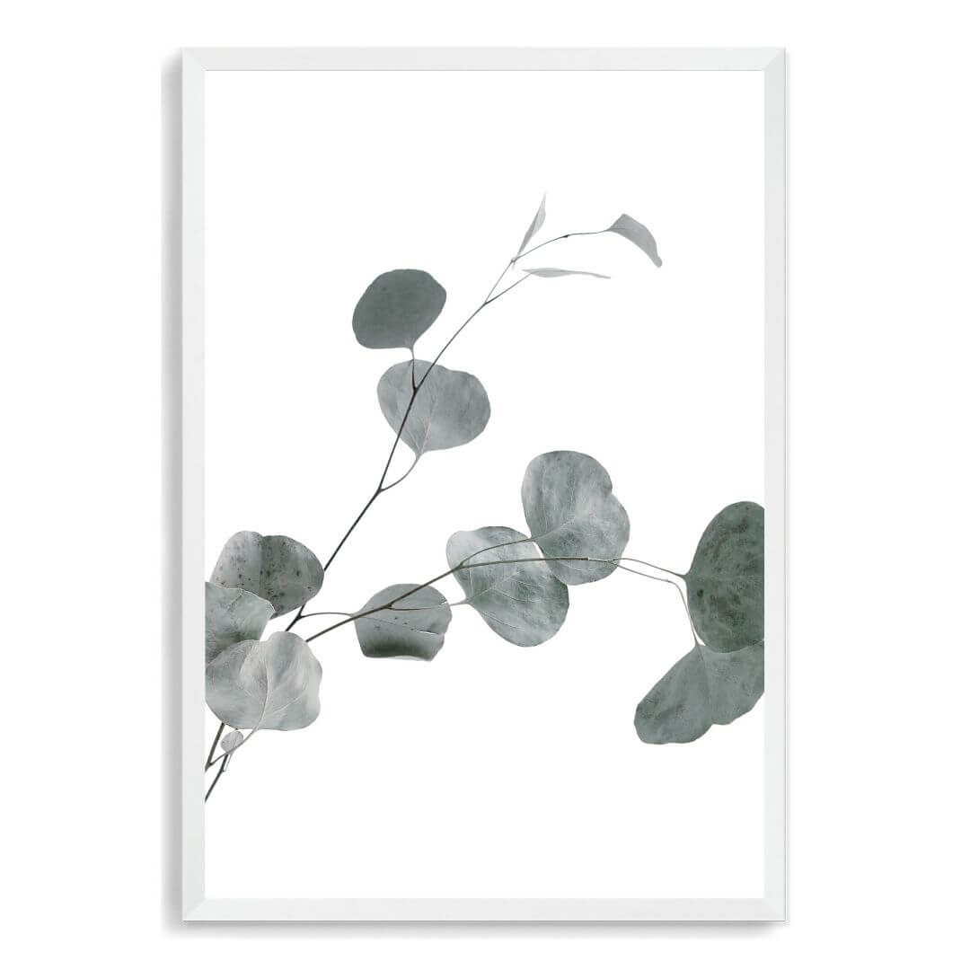 A wall art photo print of an Australian native eucalyptus leaves B with a white frame, no white border at Beautiful HomeDecor