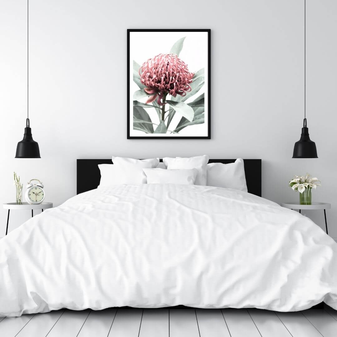 A wall art photo print of a red Australian native waratah flower A with a black frame for the wall in your bedroom
