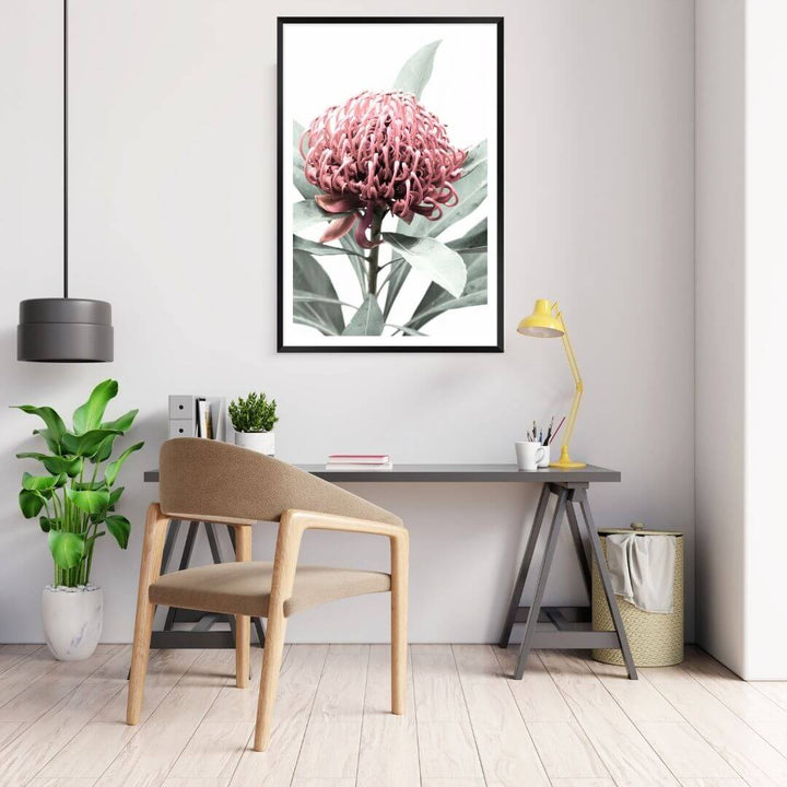 A wall art photo print of a red Australian native waratah flower A with a black frame or unframed to decorate an empty wall, a native Australian wall art
