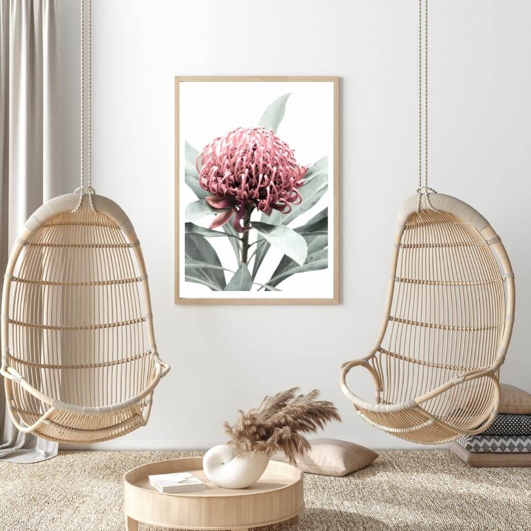 A wall art photo print of a red Australian native waratah flower A with a timber frame to style a wall in living room, a native Australian wall art