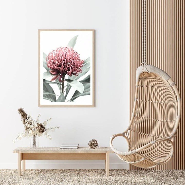 A wall art photo print of a red Australian native waratah flower A with a timber frame for the living room, a native Australian wall art