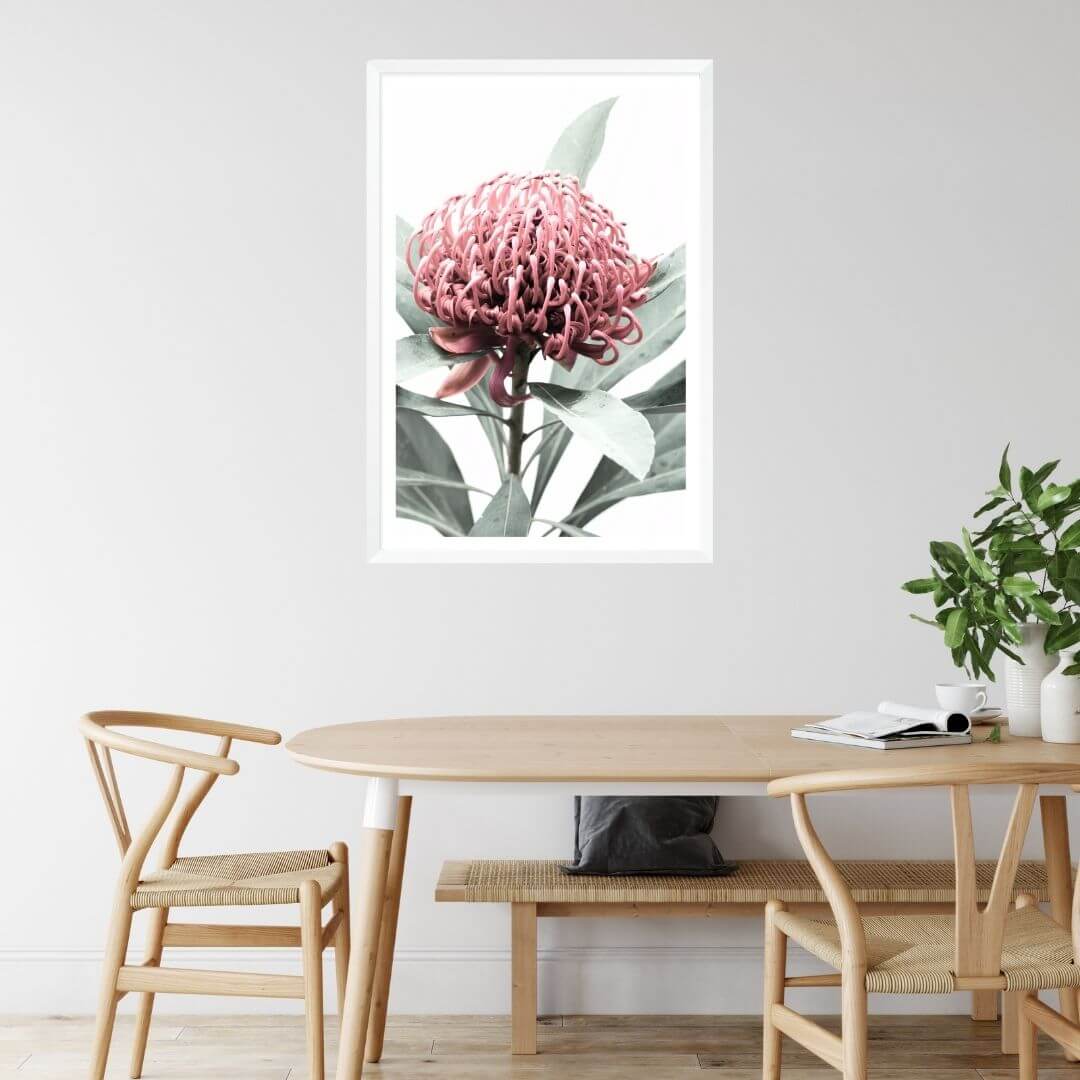 A wall art photo print of a red Australian native waratah flower A with a white frame or unframed for your dining room, a native Australian wall art