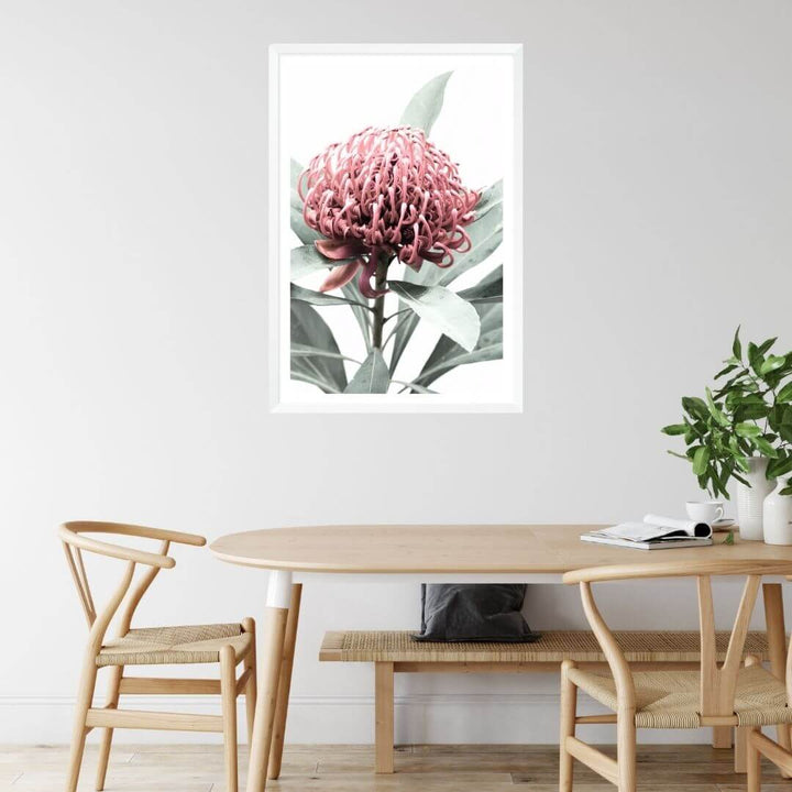 A wall art photo print of a red Australian native waratah flower A with a white frame or unframed for your dining room, a native Australian wall art