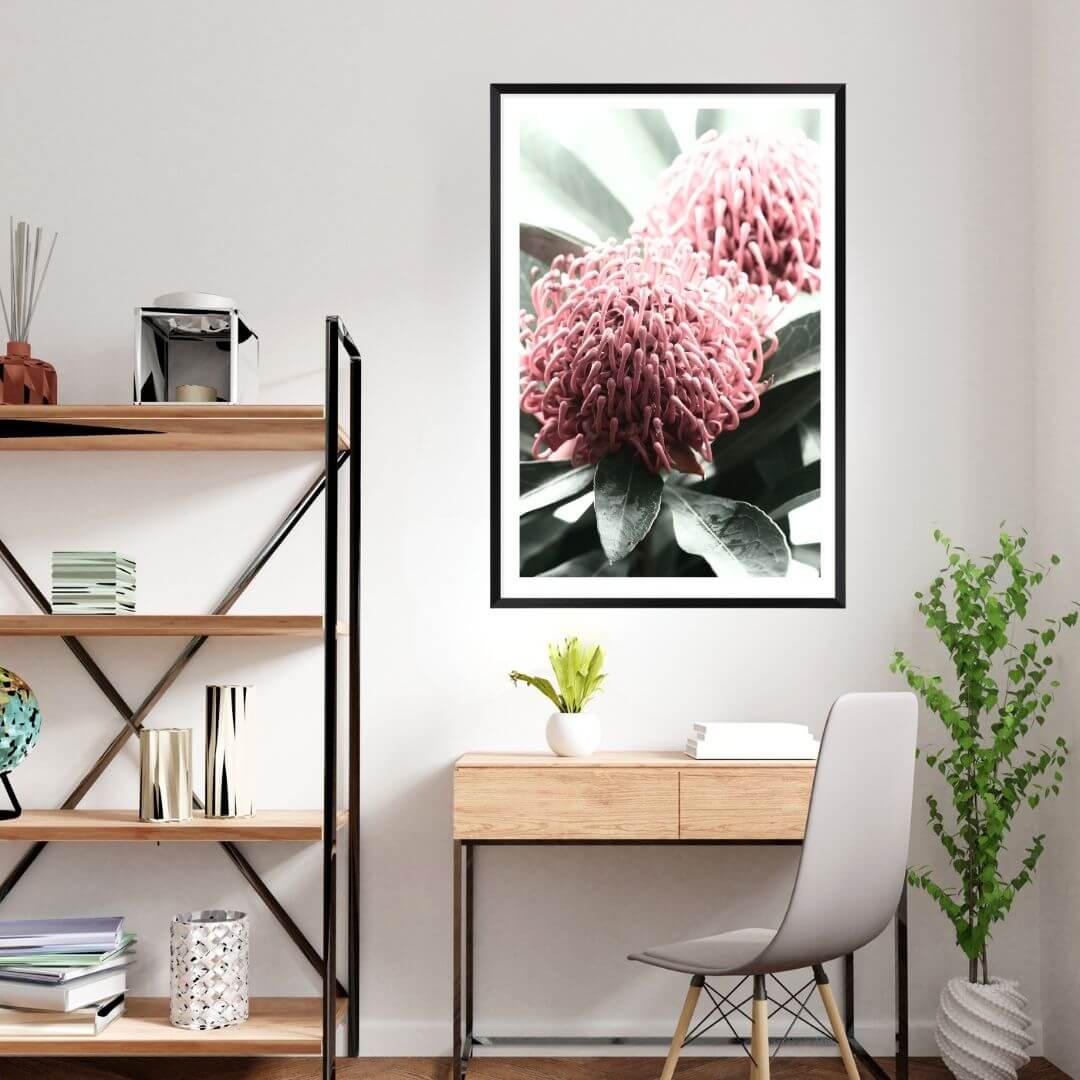 2 Australian Native Waratah Flowers B Wall art photo print with a black frame or unframed for your office study wall