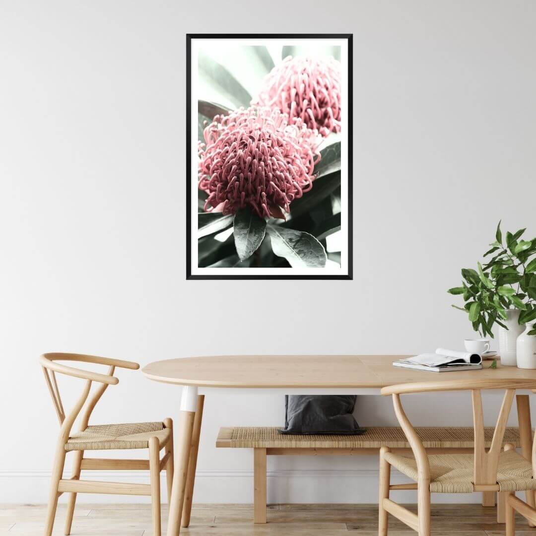 2 Australian Native Waratah Flowers B Wall art photo print with a black frame or unframed to style your dining room walls