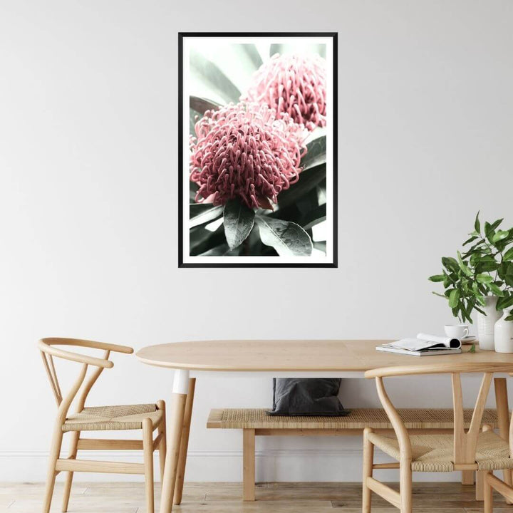 2 Australian Native Waratah Flowers B Wall art photo print with a black frame or unframed to style your dining room walls