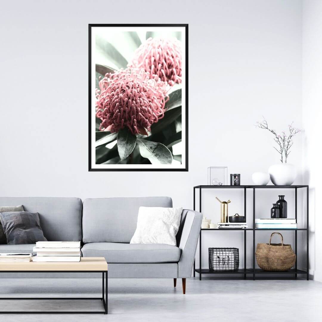 2 Australian Native Waratah Flowers B Wall art photo print with a black frame or unframed to decorate a wall in your living room