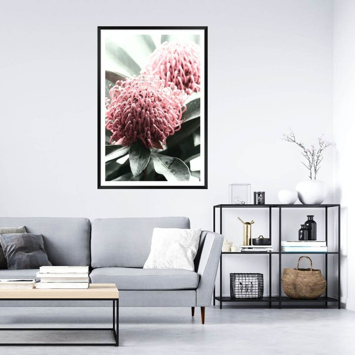 2 Australian Native Waratah Flowers B Wall art photo print with a black frame or unframed to decorate a wall in your living room
