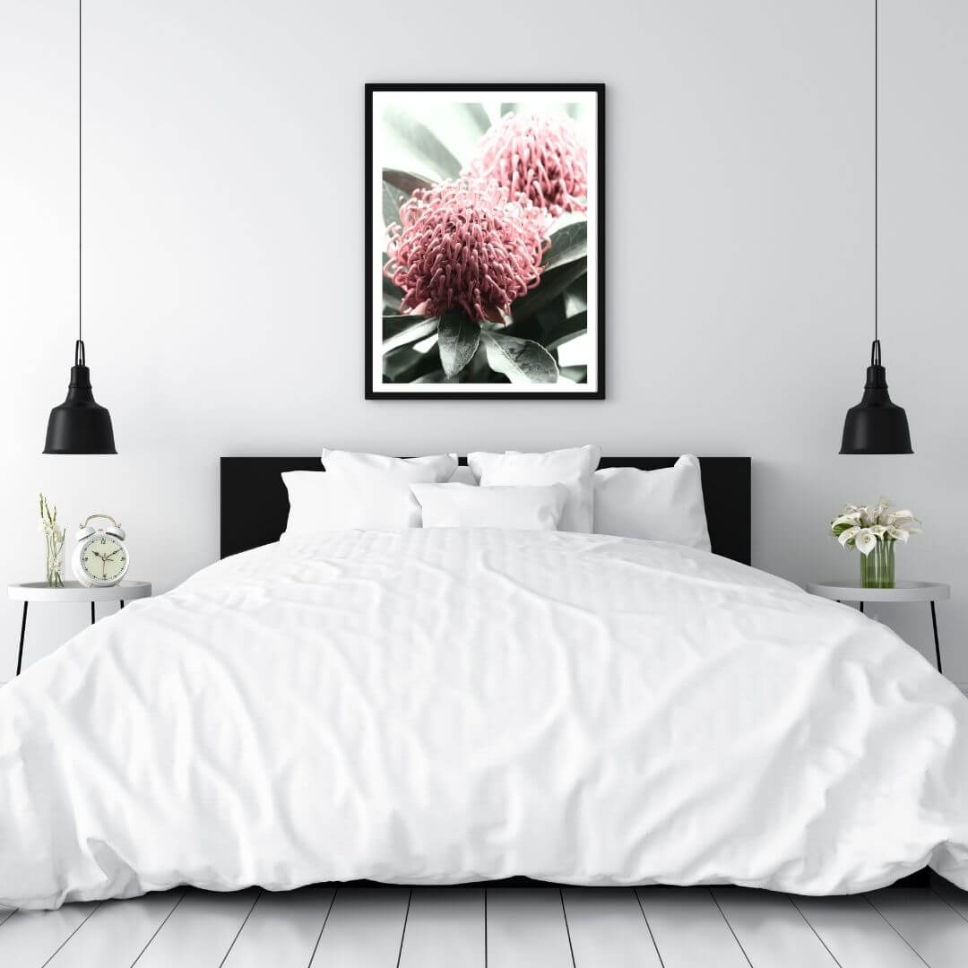 2 Australian Native Waratah Flowers B Wall art photo print with a black frame for the wall in your bedroom