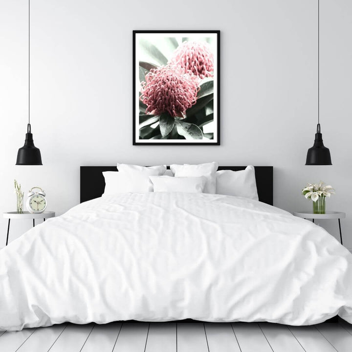 2 Australian Native Waratah Flowers B Wall art photo print with a black frame for the wall in your bedroom