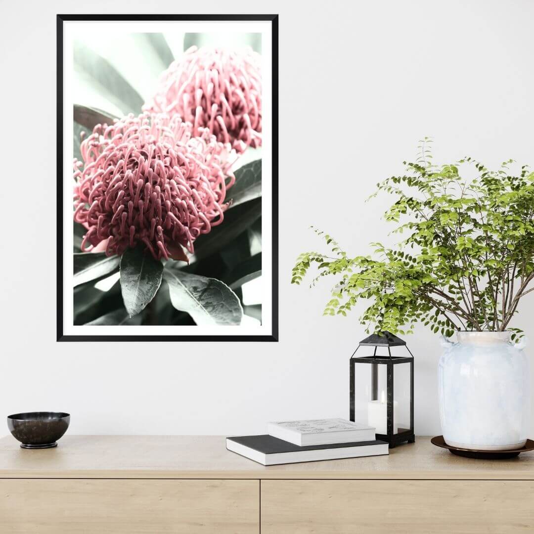 2 Australian Native Waratah Flowers B Wall art photo print with a black frame to decorate your console table