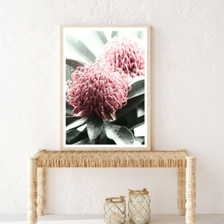 2 Australian Native Waratah Flowers B Wall art photo print with a timber frame in hallway shop online at Beautiful Home Decor with free shipping
