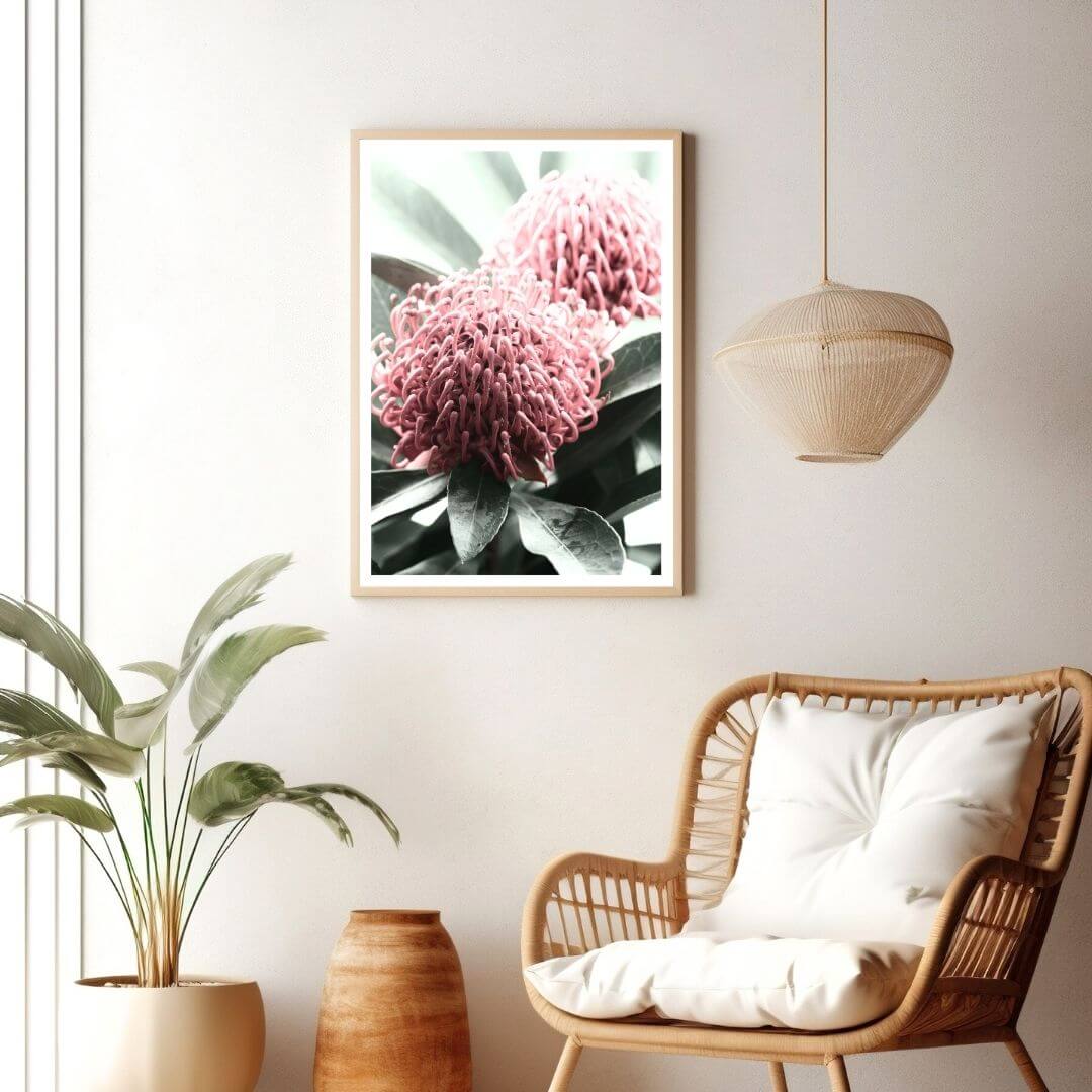 2 Australian Native Waratah Flowers B Wall art photo print with a timber frame for the living room, a native Australian wall art