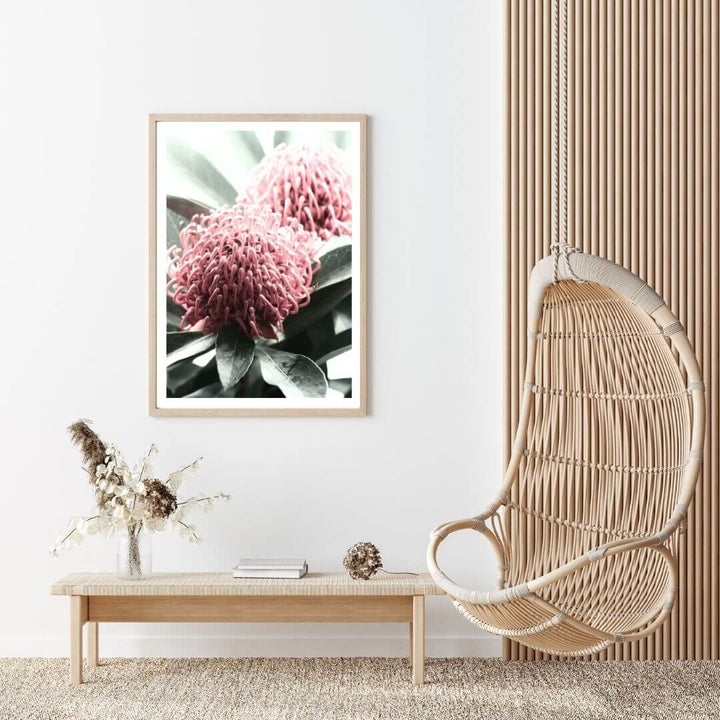 2 Australian Native Waratah Flowers B Wall art photo print with a timber frame or unframed to decorate walls in living room