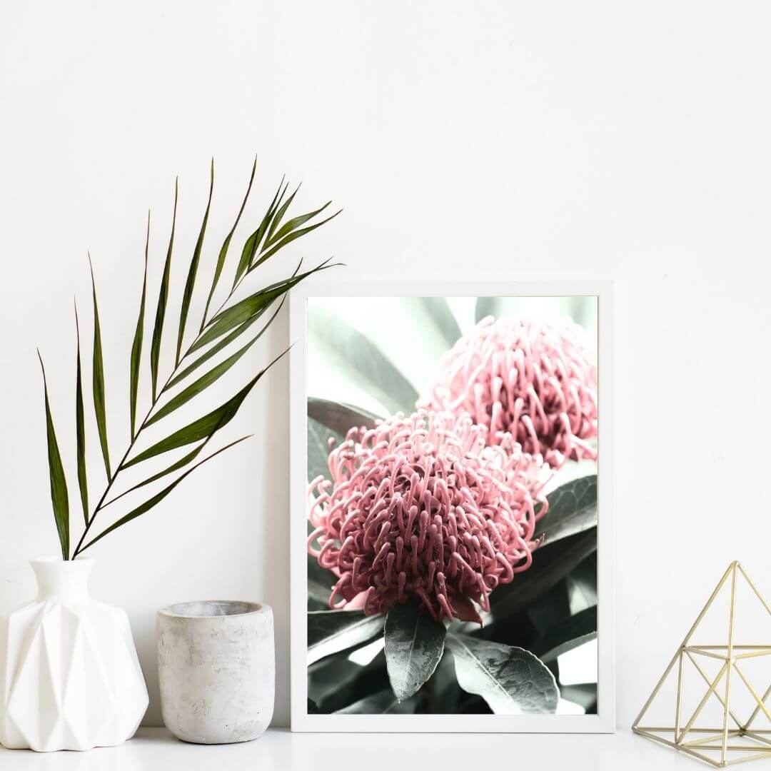 2 Australian Native Waratah Flowers B Wall art photo print with a white frame or unframed to style shelves and empty walls
