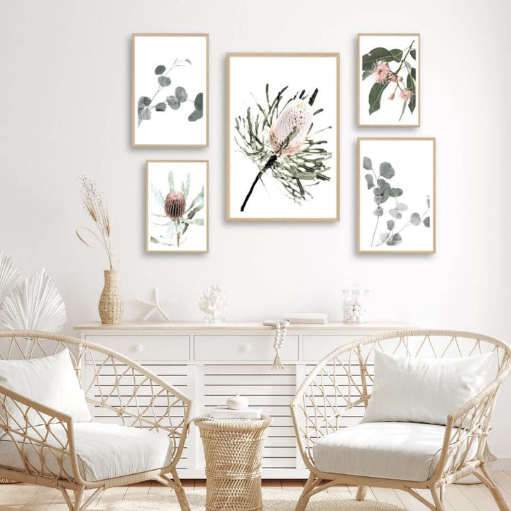 Australian Natives wall art gallery set of prints to decorate your empty walls