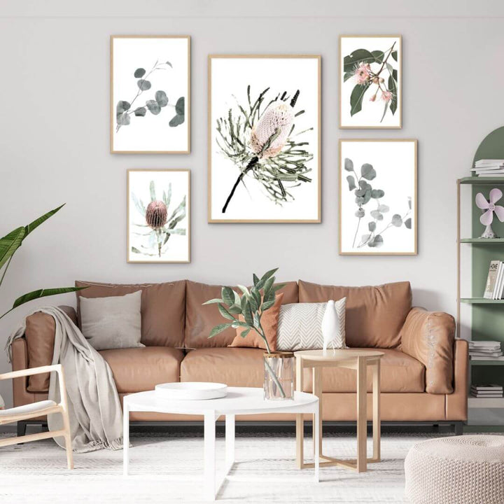 5 Australian Natives wall art prints in a wall art gallery set to style your living room