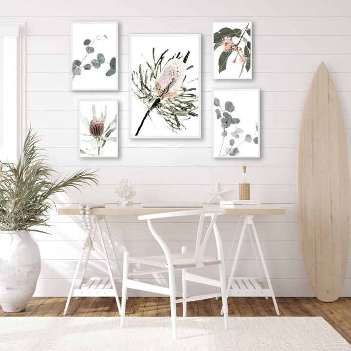A set of 5 Australian Natives prints without a border in a wall art gallery wall to decorate your empty walls