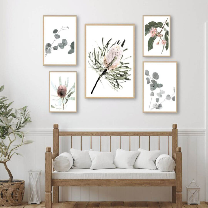 A wall art gallery set of 5 Australian Natives prints to style your hallway walls